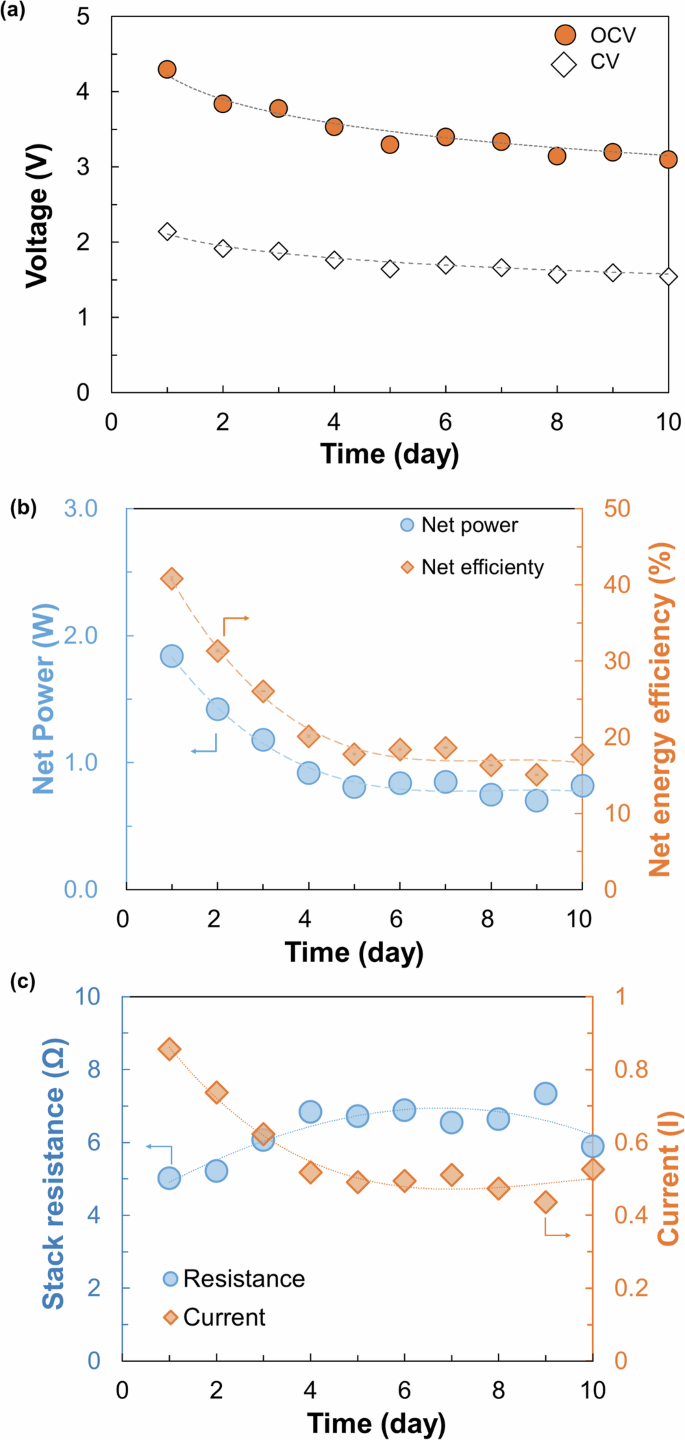 Water trapping inside anion exchange membranes during practical reverse electrodialysis applications