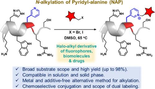 Introducing Chemoselective Peptide Conjugation via N-Alkylation of Pyridyl-alanine: Solution and Solid Phase Applications