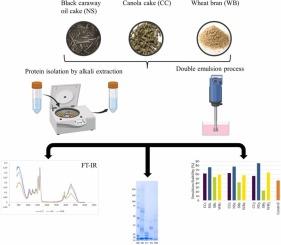 The role of canola, black caraway, and wheat bran protein isolates in anthocyanin microencapsulation via double emulsions