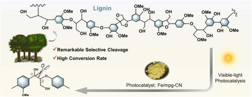 Efficient selective cleavage of C−C bonds in lignin under visible light enabled by the Fe-doped mesoporous graphitic carbon nitride photocatalyst