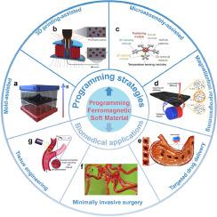 Programming ferromagnetic soft materials for miniature soft robots: Design, fabrication, and applications