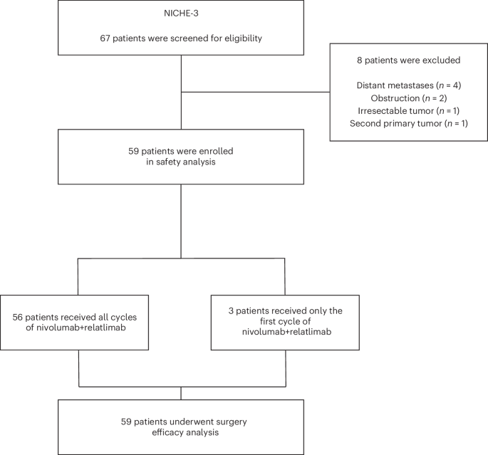 Neoadjuvant nivolumab and relatlimab in locally advanced MMR-deficient colon cancer: a phase 2 trial