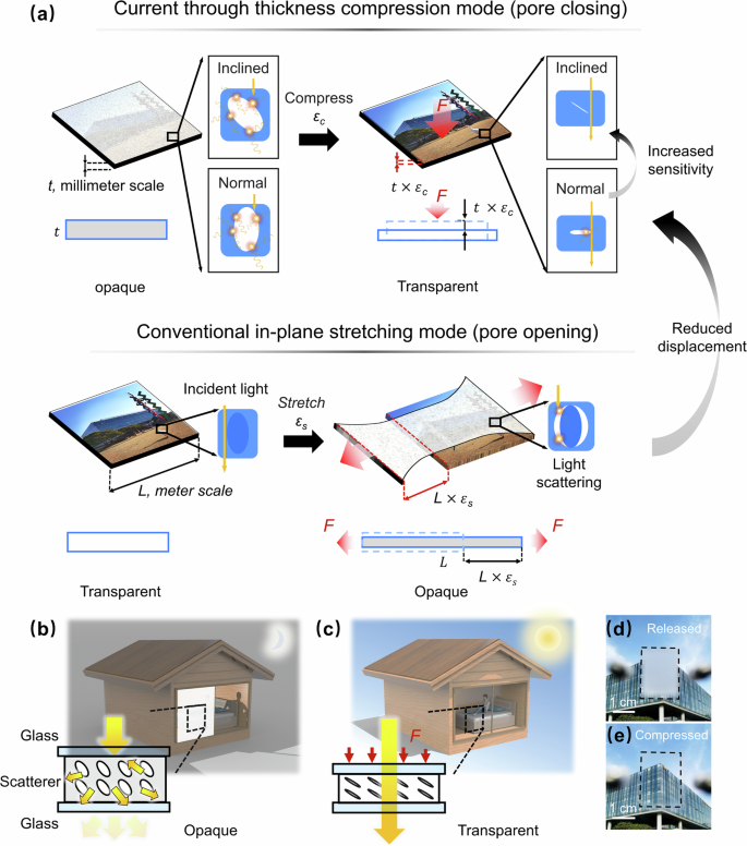 Compression-sensitive smart windows: inclined pores for dynamic transparency changes