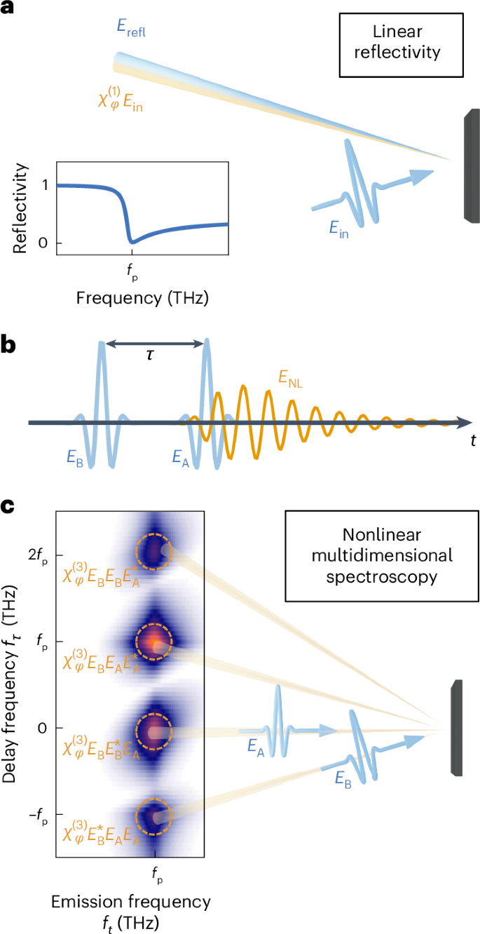 Probing inhomogeneous cuprate superconductivity by terahertz Josephson echo spectroscopy