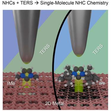 Single-molecule spectroscopic probing of N-heterocyclic carbenes on a two-dimensional metal