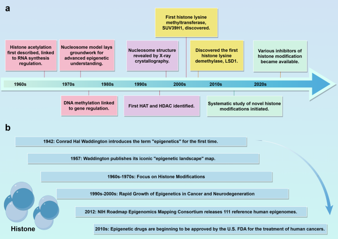 Crossing epigenetic frontiers: the intersection of novel histone modifications and diseases