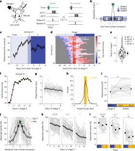 Vagus nerve stimulation recruits the central cholinergic system to enhance perceptual learning