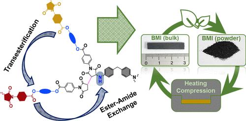 Design and Evaluation of a Reprocessable Bismaleimide Thermoset: Enhancing Functionality and Sustainability Compatibility