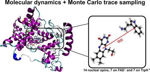 Spin Dynamics of Radical Pairs Using the Stochastic Schrödinger Equation in MolSpin