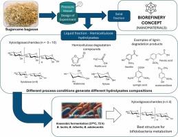 Bioactive potential of unpurified hydrothermal xylooligosaccharides: Implications for prebiotic formulations from sugarcane bagasse