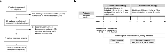 Sintilimab combined with anlotinib and chemotherapy as second-line or later therapy in extensive-stage small cell lung cancer: a phase II clinical trial