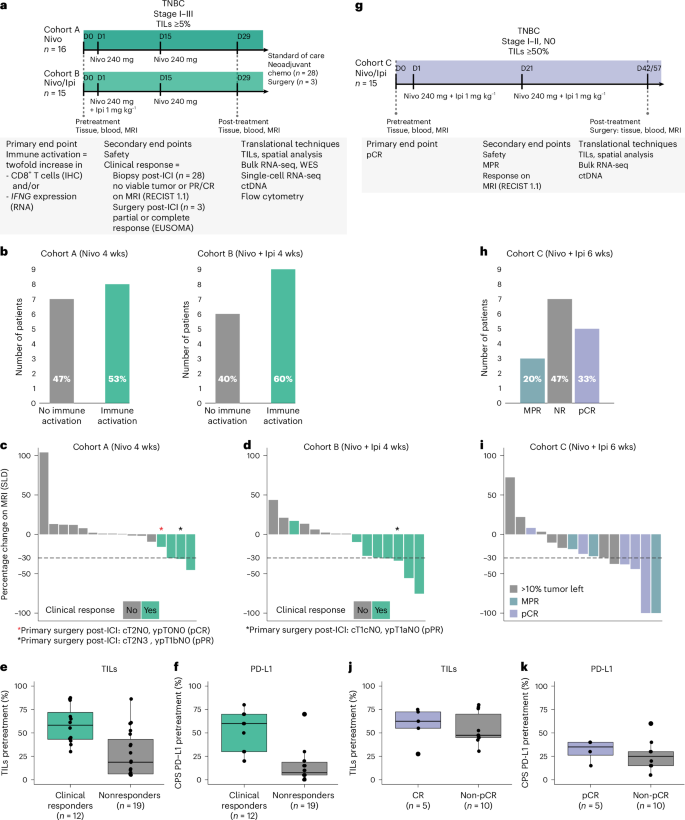 Neoadjuvant nivolumab or nivolumab plus ipilimumab in early-stage triple-negative breast cancer: a phase 2 adaptive trial