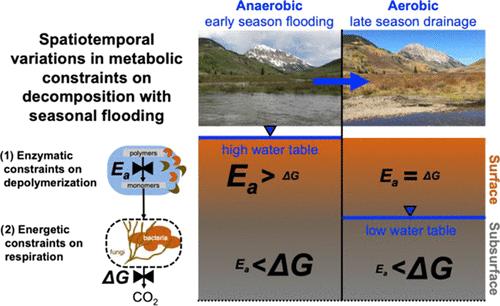 Seasonal Controls on Microbial Depolymerization and Oxidation of Organic Matter in Floodplain Soils