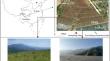 Aboveground plant biomass drove the reclamation-year dependence of soil quality along a 49-year vegetation reclamation chronosequence