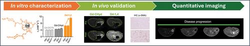 Quantitative in Vivo Molecular MRI