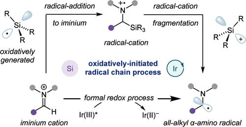 Silyl Radicals as Single-Electron Reductants: α-Aminoalkyl Radical Formation via a Photocatalytic Oxidatively Initiated Radical Chain Process