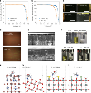 Harmonizing the bilateral bond strength of the interfacial molecule in perovskite solar cells