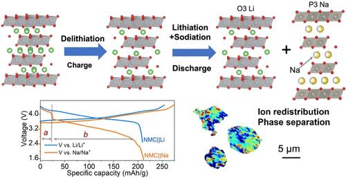 Revealing the Chemical and Structural Complexity of Electrochemical Ion Exchange in Layered Oxide Materials