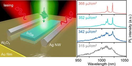 Room-Temperature Two-Dimensional InSe Plasmonic Laser