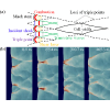 Viewing Explosion Models of Type Ia Supernovae through Insights from Terrestrial Cellular Detonation