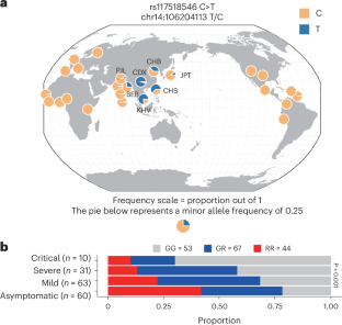 A B cell receptor variant confers evolutionary protection against pathogens