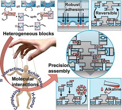 Precision Self-Assembly of Supramolecules with Heterogeneous Derivatives