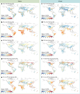 Reducing soil nitrogen losses from fertilizer use in global maize and wheat production