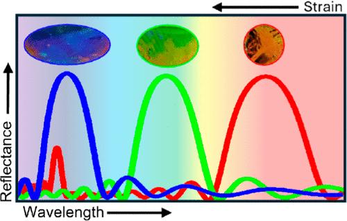 Stretchable Distributed Bragg Reflectors as Strain-Responsive Mechanochromic Sensors