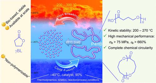 Chemosynthetic P4HB: A Ten-Year Journey from a “Non-Polymerizable” Monomer to a High-Performance Biomaterial