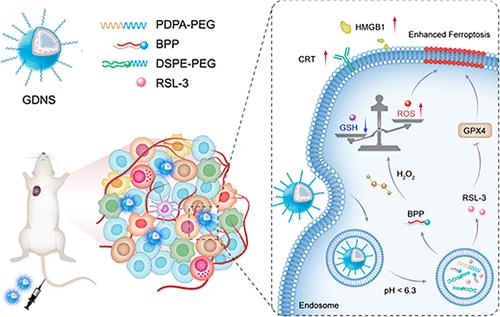 Glutathione-Disrupting Nanotherapeutics Potentiate Ferroptosis for Treating Luminal Androgen Receptor-Positive Triple-Negative Breast Cancer