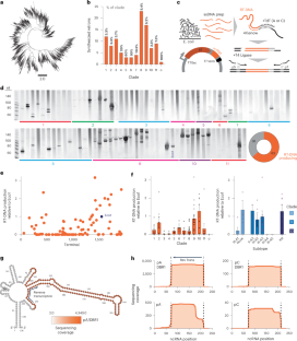 An experimental census of retrons for DNA production and genome editing