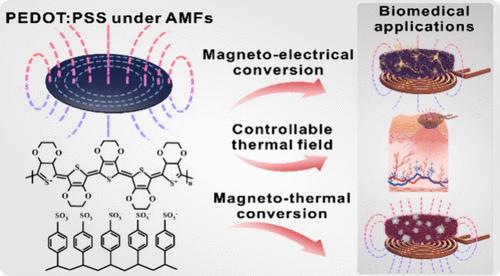 Magnetic Induction Heating in a Conducting Polymer for Biomedical Applications