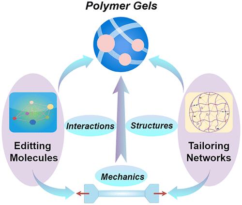 Mechanical Regulation of Polymer Gels