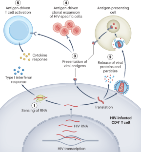 Silencing the transcriptionally active HIV reservoir to improve treatment outcomes