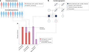 Reproductive options and genetic testing for patients with an inherited cardiac disease