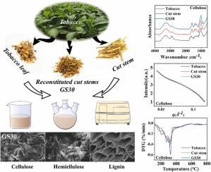 Composition, structural, and thermal analysis of cellulose, hemicellulose, and lignin of reconstituted cut stems in tobacco