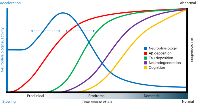 Synergistic association of Aβ and tau pathology with cortical neurophysiology and cognitive decline in asymptomatic older adults