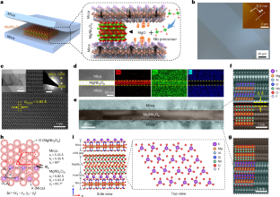 Magnesium niobate as a high-κ gate dielectric for two-dimensional electronics