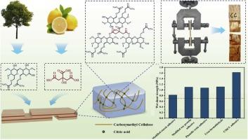 Biomass cellulose-based wood adhesive with improved water resistance and bonding strength by esterification reaction