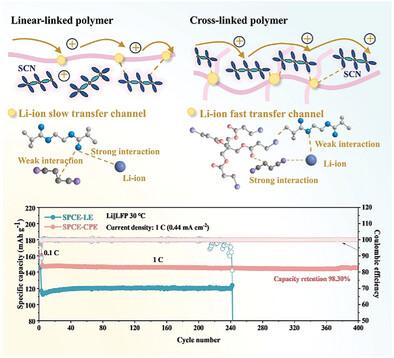 Modulating the Li-Ion Transport Pathway of Succinonitrile-Based Plastic Crystalline Electrolytes for Solid-State Lithium Metal Batteries