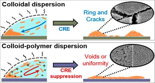 Polymer-Mediated Crack Suppression in Deposit of Nanoellipsoids