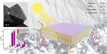 Ultra-high piezo-photocatalytic performance of (Na, Sm) co-doped CaBi2Nb2O9 nanoplates by the surface effect†