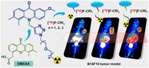 Development of STING probes and visualization of STING in multiple tumor types