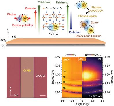 2D CrSBr Enables Magnetically Controllable Exciton-Polaritons in an Open Cavity