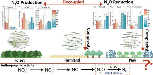 Diversity and Activity of Soil N2O-Reducing Bacteria Shaped by Urbanization