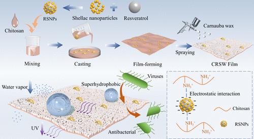 Biobased Composite Films for Strawberry Preservation with Bacterial Antifouling and Liquid Resistance