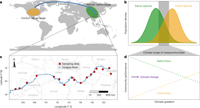 Deterministic responses of biodiversity to climate change through exotic species invasions