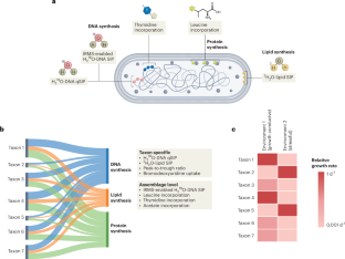 Growth rate as a link between microbial diversity and soil biogeochemistry