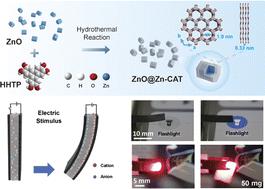 Novel two-dimensional conductive metal–organic framework-based heterostructures for high-performance electro-ionic soft actuators