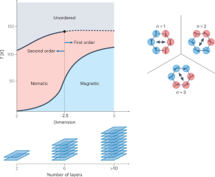 Intertwined vestigial orders in stacked magnetic flatlands